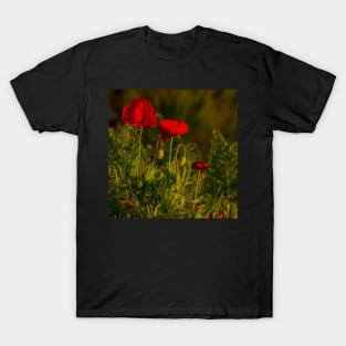 Three poppies T-Shirt